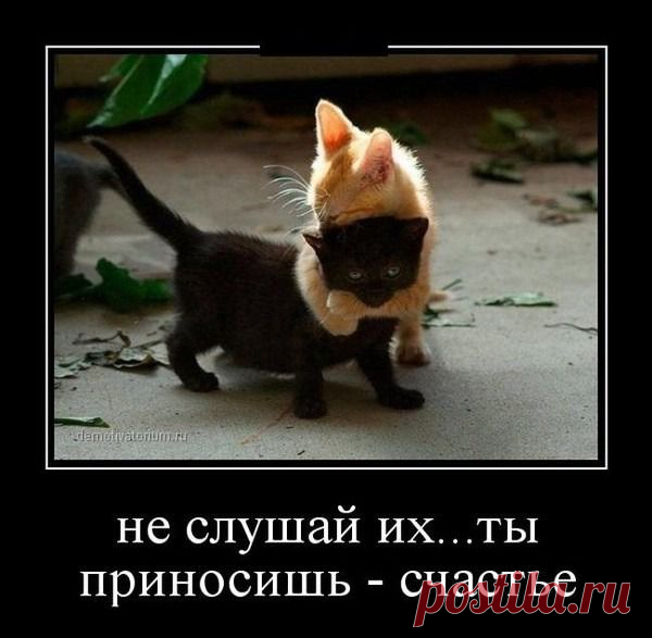 Мой Мир@Mail.Ru