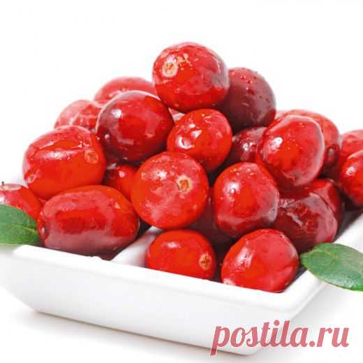 Клюква крупноплодная Ред Стар | Дачный участок