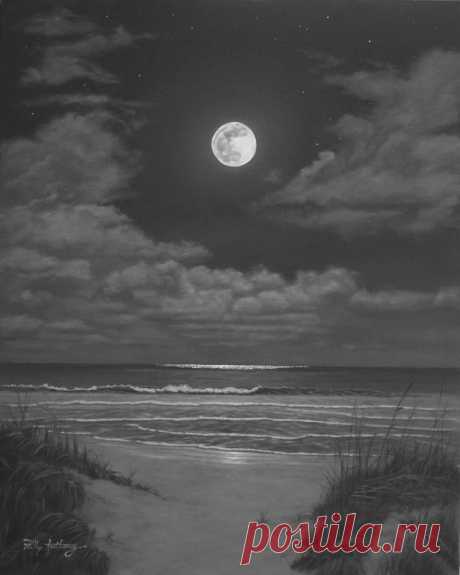 The_Art_of_Phillip_Anthony