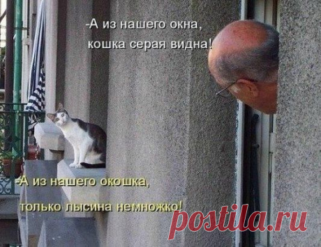 Фото приколы