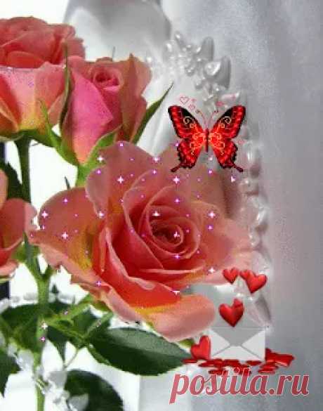 Живые фотографии – Google+