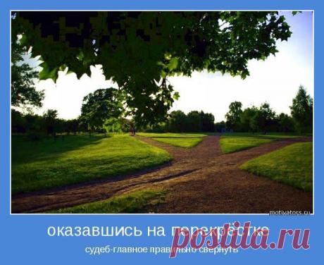 Пройдя наш курс обучения, Вы приобретёте уверенность в себе и создадите необходимые инструменты для развития своего бизнеса в сети Интернет.
Ваша конкурентоспособность на Интернет-рынке вырастет в десятки раз!По мере изучения, Вы сразу сможете применять свои знания и умения на практике и получать результат.
У вас появятся  новые идеи ,качественно новая жизненная позиция и новые возможности ведения дел.
У Вас появится уверенность в себе и много друзей-единомышленников.