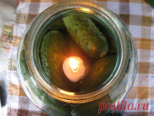 Свежие огурцы (и не только) зимой!Стратегический секретный способ | Четыре вкуса