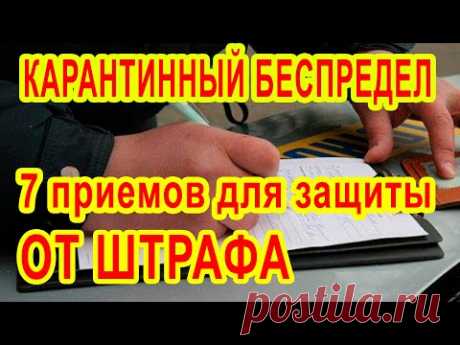 Если Вас хотят оштрафовать за нарушение карантина Подробная инструкция адвоката Письменное пояснение
