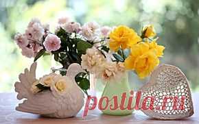 Spring Cleaning Your House: 5 Easy Feng Shui Tips