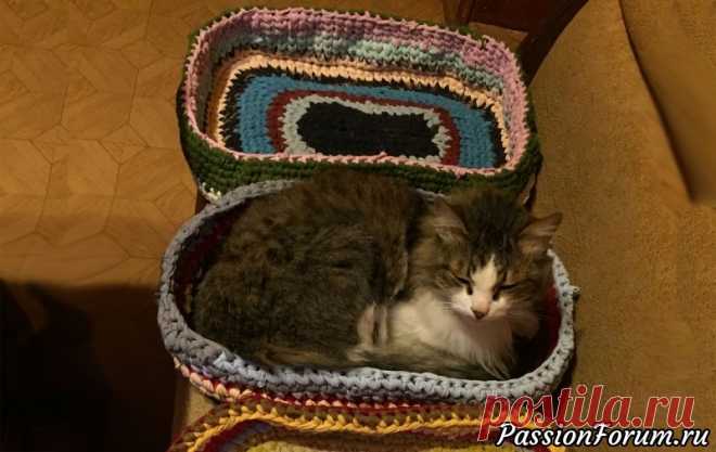 Лежанки для котов из 