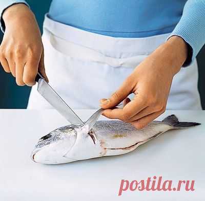 Секреты приготовления рыбы
1. Карась и линь пахнут тиной. Чтобы удалить этот запах, надо опустить их на полчаса в соляной холодный раствор. Затем промыть в проточной воде.

2. Чтобы при очистке рыба не скользила, нужно поверхность доски посыпать солью и обмакнуть в нее пальцы.

3. Если вы привезли замерзшую рыбу после рыбалки домой и собрались чистить, надо залить ее холодной слабосоленой водой. Как только оттает верхний слой, можно приступать к чистке.