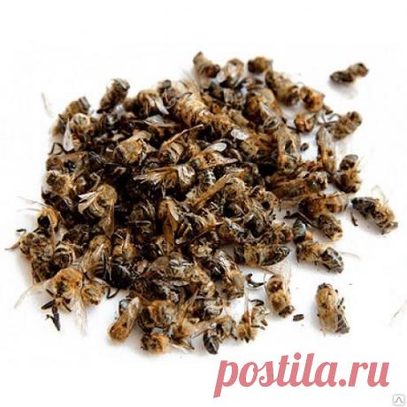 Что такое пчелиный подмор | Пчеловед | Яндекс Дзен