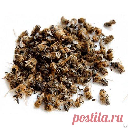 Что такое пчелиный подмор | Пчеловед | Яндекс Дзен