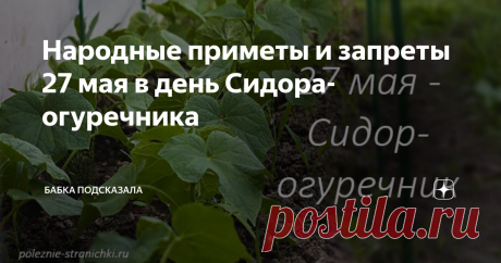 Народные приметы и запреты 27 мая в день Сидора-огуречника Народные приметы и запреты 27 мая. 27 мая в народе принято отмечать день Сидора-огуречника. Также этот майский день получил и такие названия - Сидор Бокогрей, Сидор Сивер. Народные приметы и запреты 27 мая. Эти огурцы будут вкусными и хрустящими, отлично подойдут для заготовок на зиму. Работать в саду, огороде, по хозяйству и дому в день Сидора-огуречника у наших предков не запрещалось. От занятий рукоделием также ...
