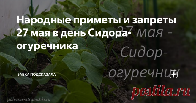 Народные приметы и запреты 27 мая в день Сидора-огуречника Народные приметы и запреты 27 мая. 27 мая в народе принято отмечать день Сидора-огуречника. Также этот майский день получил и такие названия - Сидор Бокогрей, Сидор Сивер. Народные приметы и запреты 27 мая. Эти огурцы будут вкусными и хрустящими, отлично подойдут для заготовок на зиму. Работать в саду, огороде, по хозяйству и дому в день Сидора-огуречника у наших предков не запрещалось. От занятий рукоделием также ...