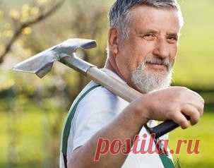 НАШИ ДАЧНЫЕ ПОМОЩНИКИ - Экологическое землетворчество | Экологическое землетворчество