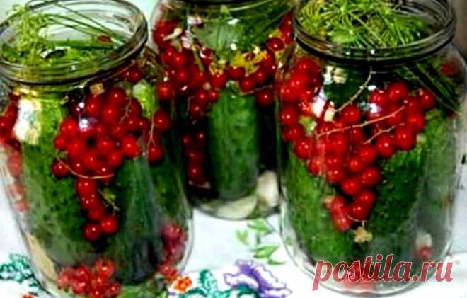Рецепты огурцов разных уголков страны. Фирменные рецепты