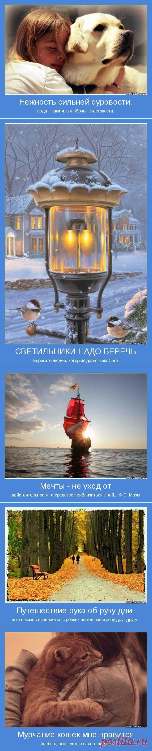 Мотиваторы дня / Писец - приколы интернета