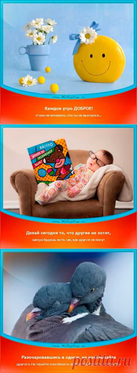 Позитивчики Недели (смотреть фото)