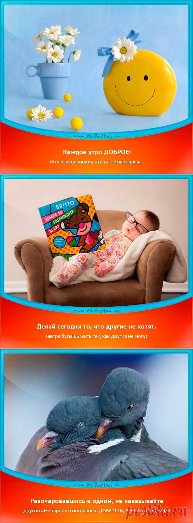 Позитивчики Недели (смотреть фото)