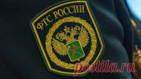 В Петербурге изъяли сто килограммов кокаина в контейнерах с бананами