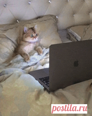 Одноклассники