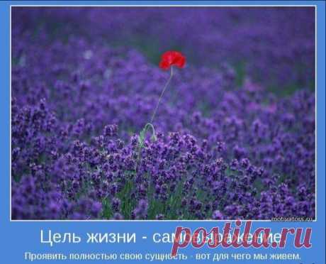 ВЫБОР ЦЕЛИ. ВИКТОР РЕБИКОВ.