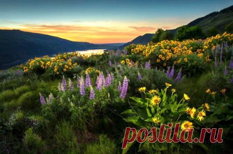 Пейзаж. Природа. Ч.25 – Блог. Run, пользователь Марина Николаева | Группы Мой Мир