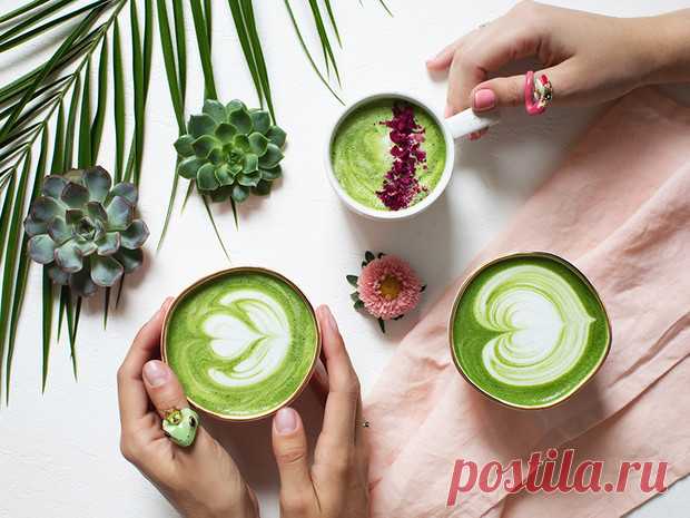 Чай матча: чем он полезен, и как его пить (плюс 3 лучших рецепта) | Marie Claire