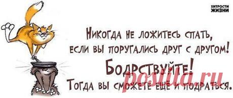 Мой Мир@Mail.Ru