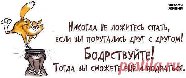 Мой Мир@Mail.Ru