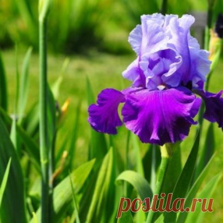 КАК РАСПОЗНАТЬ ПОРЧУ И УЗНАТЬ, КТО ЕЕ НАВЕЛ - МирТесен