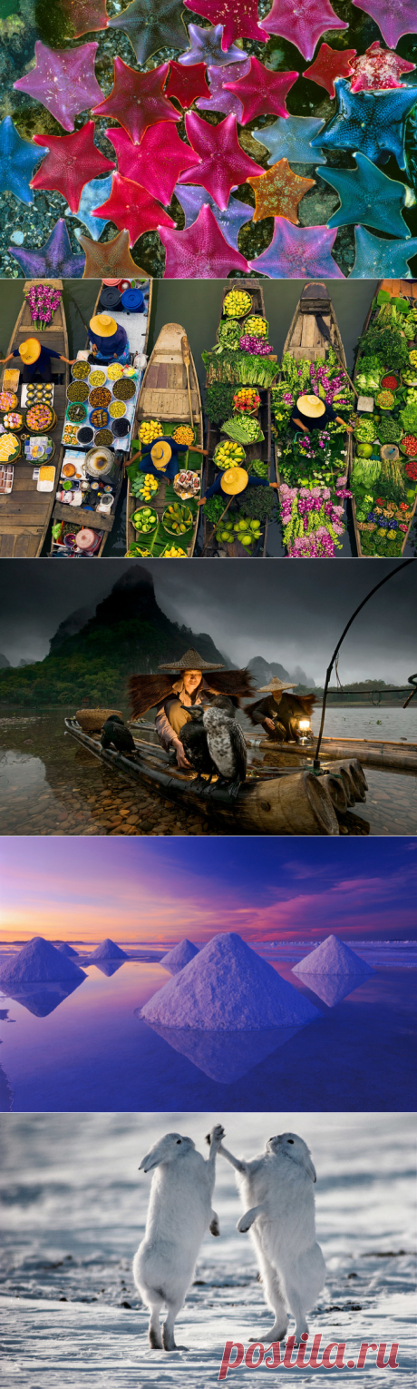 Кругосветное путешествие с фотографом и защитником природы Art Wolfe!