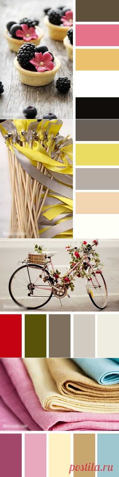 Сочетания цветов