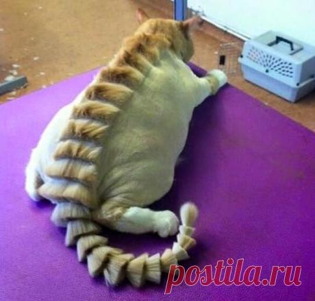 (36) Алеся Казанцева