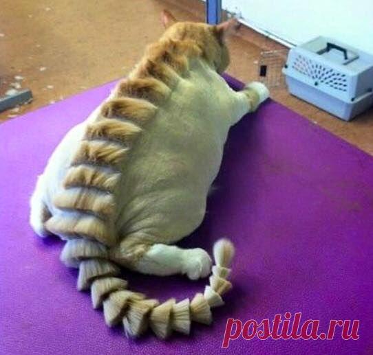 (36) Алеся Казанцева