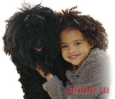 Как две капли