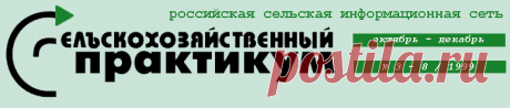 Вёшенка обыкновенная - замечательный гриб