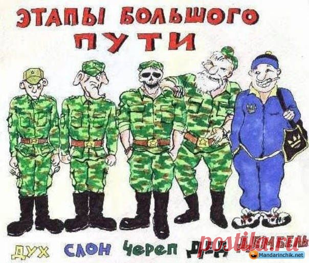 как встретить сына из армии прикольно плакаты: 26 тыс изображений найдено в Яндекс.Картинках