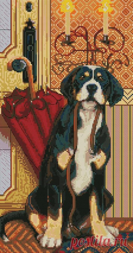 #вышивка #схемы #рукоделие #handmade #хомячки #clubrucodelnic #Животные 
#Разное