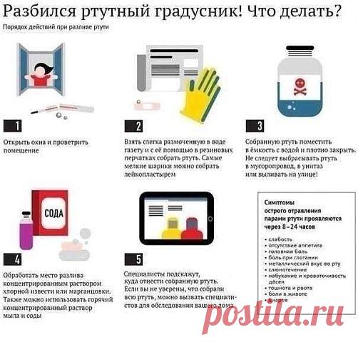 Токсичные пары этого металла (а они начинают испаряться при температуре от +18 °С) могут попасть в организм. Причем наверняка часть капель «разбежится» и проникнет в щели пола и плинтусы, ворс ковра и т.д. Вы их не заметите, но ртуть, активно испаряясь, будет постепенно отравлять воздух и ваш организм. Этот яд относится к кумулятивным, то есть постепенно накапливается и «оседает» в организме.