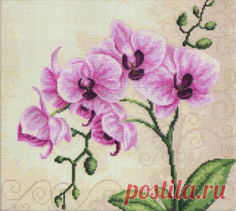 Вышивка &quot;Орхидея&quot; | Скачать схему бесплатно на сайте Stitchart.net