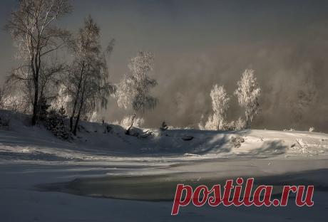 Фотография Холодное зимнее солнце. из раздела пейзаж №6873299 - фото.сайт - Photosight.ru