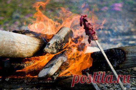 Простой способ приготовления мяса, которому меня научил ненец | sevprostor | Яндекс Дзен