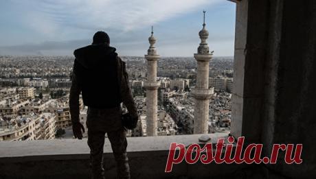 Штурм Алеппо и бои под Пальмирой