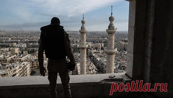 Штурм Алеппо и бои под Пальмирой