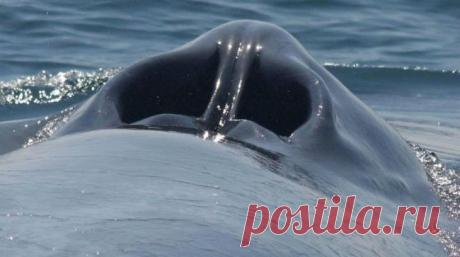 26 редких фотографий показывают привычные вещи с неизвестного для нас ракурса Со временем монотонная повседневная жизнь может поработить даже самых восторженных людей. Вещи, ставшие для нас настолько привычными, что мы перестаем даже замечать их, на самом деле имеют и другую, н...