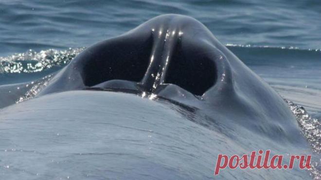 26 редких фотографий показывают привычные вещи с неизвестного для нас ракурса Со временем монотонная повседневная жизнь может поработить даже самых восторженных людей. Вещи, ставшие для нас настолько привычными, что мы перестаем даже замечать их, на самом деле имеют и другую, н...