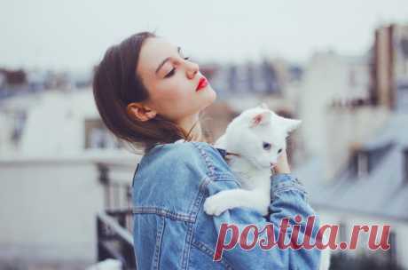 Лучшее лекарство от плохого настроения: Кота заводят, чтобы кот Был маяком во тьме невзгод – Ты, например, забыл ключи, Сын в школе двойку получил, Прогнило у авто нутро, Украли кошелек в метро, А на работе вновь аврал, Начальник матом наорал И из-за кризиса в стране Зарплату сократил вдвойне. И ты пришел домой, а там Припал больной душой к котам! Кот нужен, чтобы вдохновлял И биополем исцелял, Мурлыкал громко под рукой, Грел бок, гнал мышь, дарил покой, Чтоб ты, кота погладив раз, Лучился…