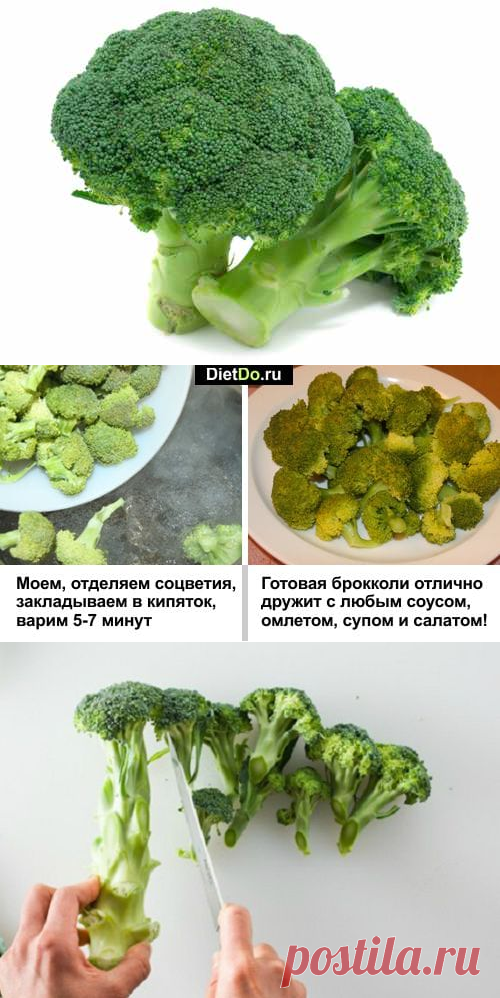 Брокколи — польза и вред для здоровья, как приготовить быстро и вкусно. Грамотные обзоры пользы и вреда продуктов от DietDo.ru!