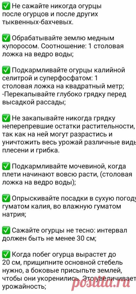 советы для сада