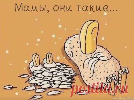 Мой Мир@Mail.Ru