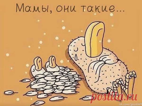 Мой Мир@Mail.Ru