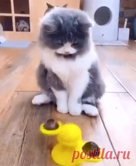 Ушатало